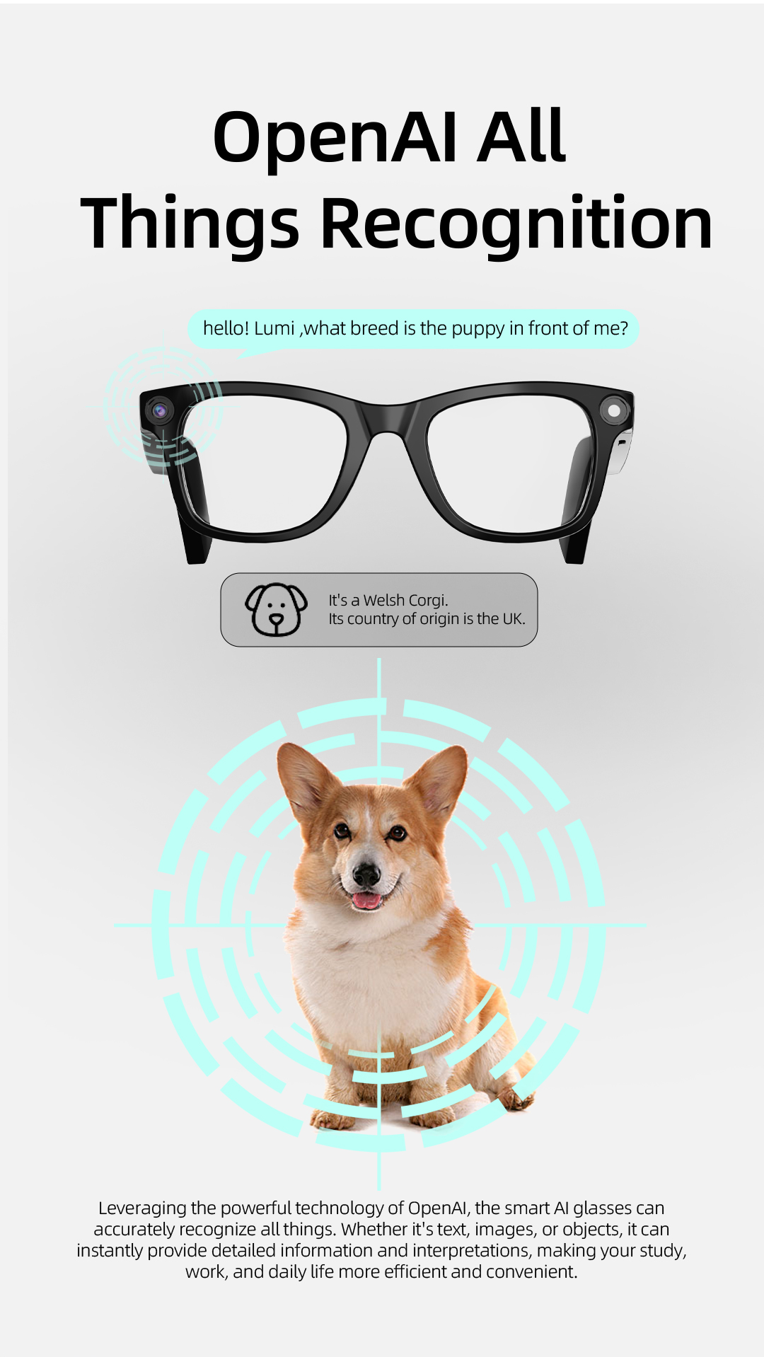 Domars AI Smart Glasses With 20MP HD Camera,Anti-Shake Video Recording,30H Battery Life,WiFi 5/6,32GB Memory,AI Translation & Recognition,Touch Control,Anti-blue Light and Anti-reflection Coating